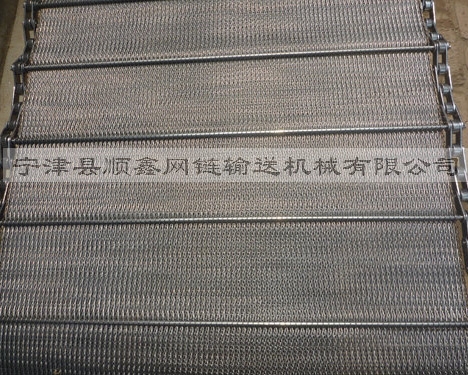 浙江人字型链条网带