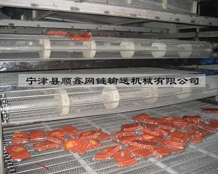 浙江食品网带