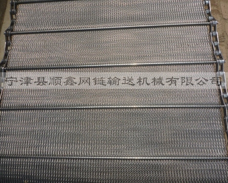 浙江人字型链条网带